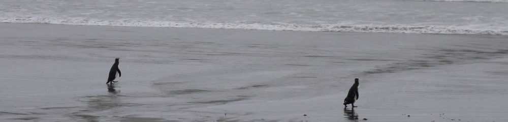 McDowell Lab for nanomedicines