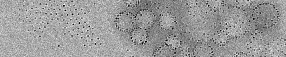 McDowell Lab for nanomedicines